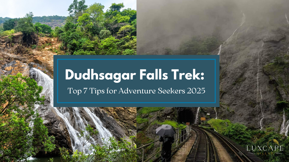Dudhsagar Falls Trek: Top 7 Tips for Adventure Seekers 2025