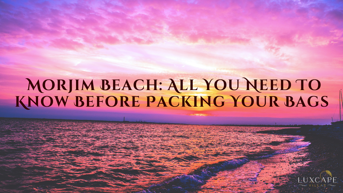 Morjim-Beach-All-You-Need-To-Know-Before-Packing-Your-Bags-Luxcape-Villas